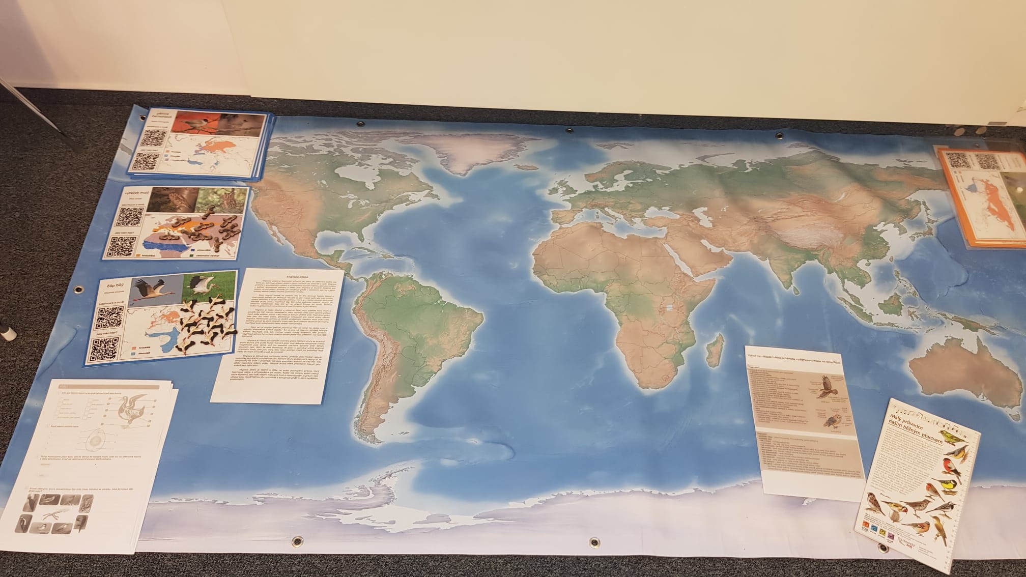 6a1e12f0 3118 47be a9e5 613f5044eb24